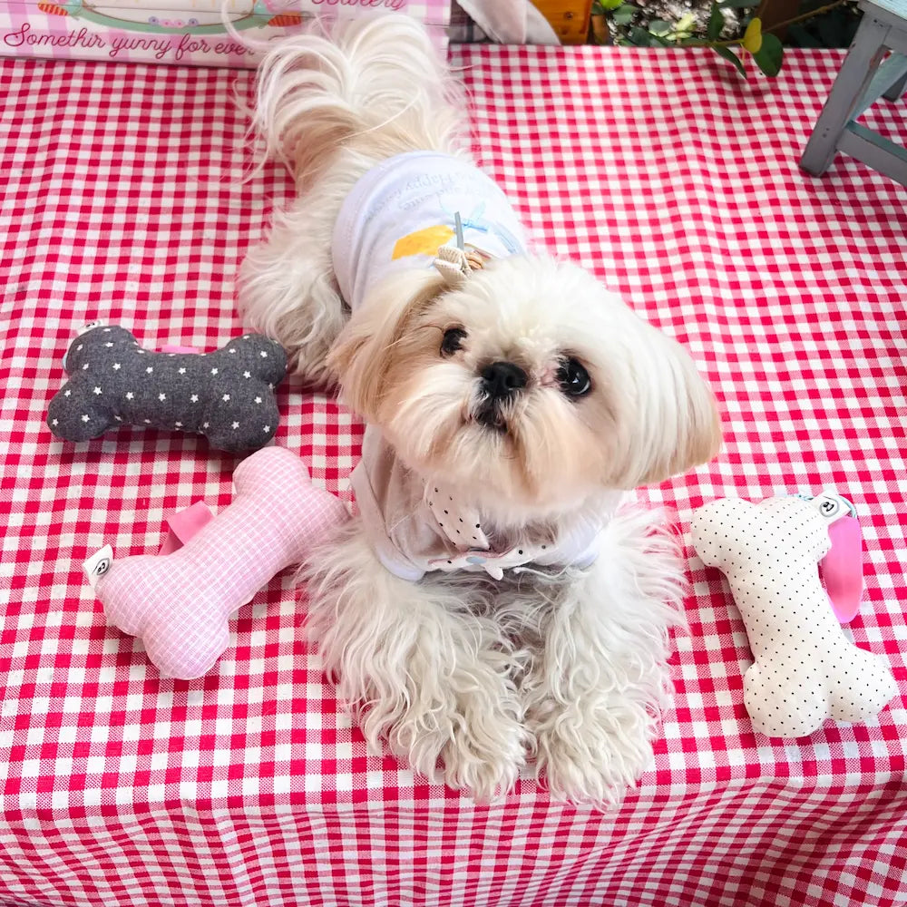 Mini Bone Dog Toy Keychain